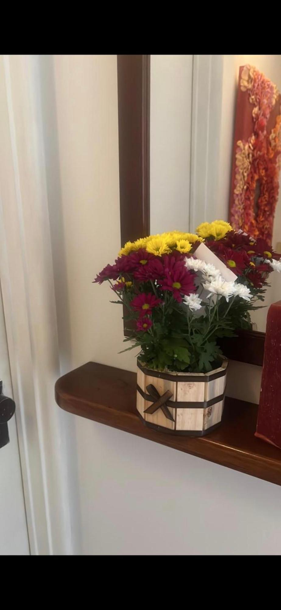 Suite Independente Apart Hotel Elysees 리오데자네이루 외부 사진